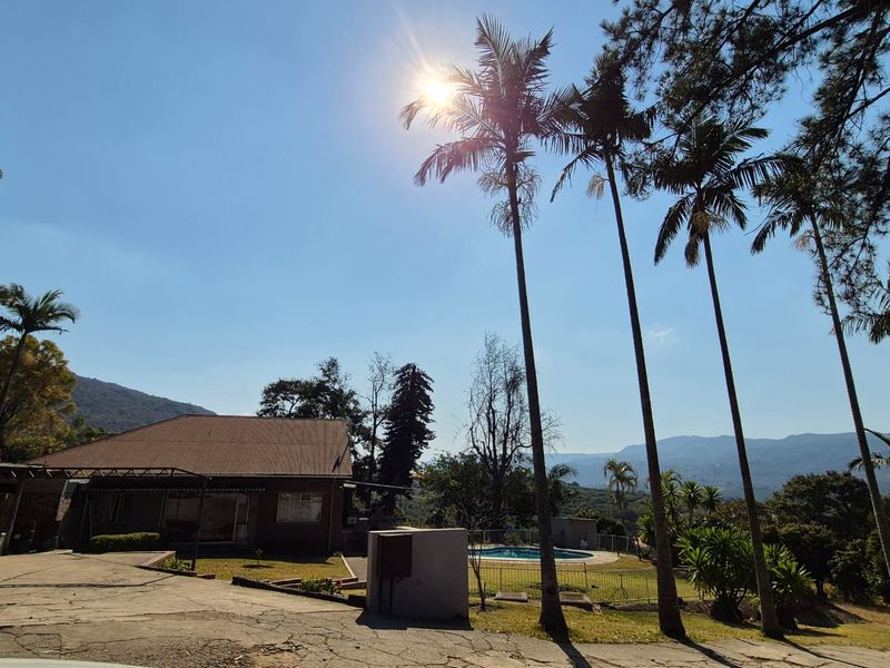 Rear view of the farm property featuring a swimming pool, established palm trees, and scenic mountain views with a concrete driveway.