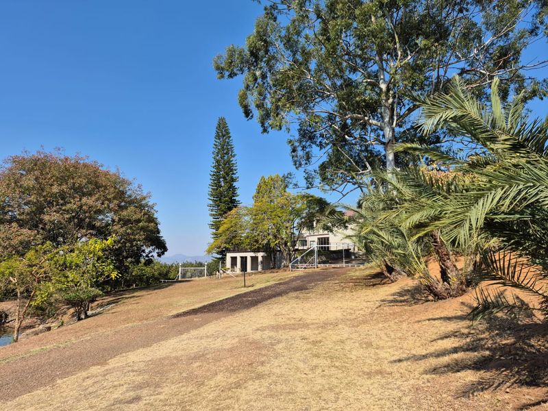 A view of the expansive farm grounds featuring mature trees, established landscaping, and a gravel pathway leading toward the main residence.