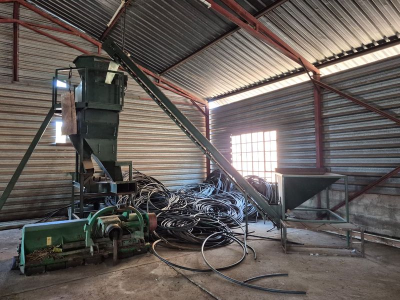 Industrial utility shed featuring corrugated metal walls, exposed steel roof structure, and integrated agricultural processing machinery with a conveyor system.