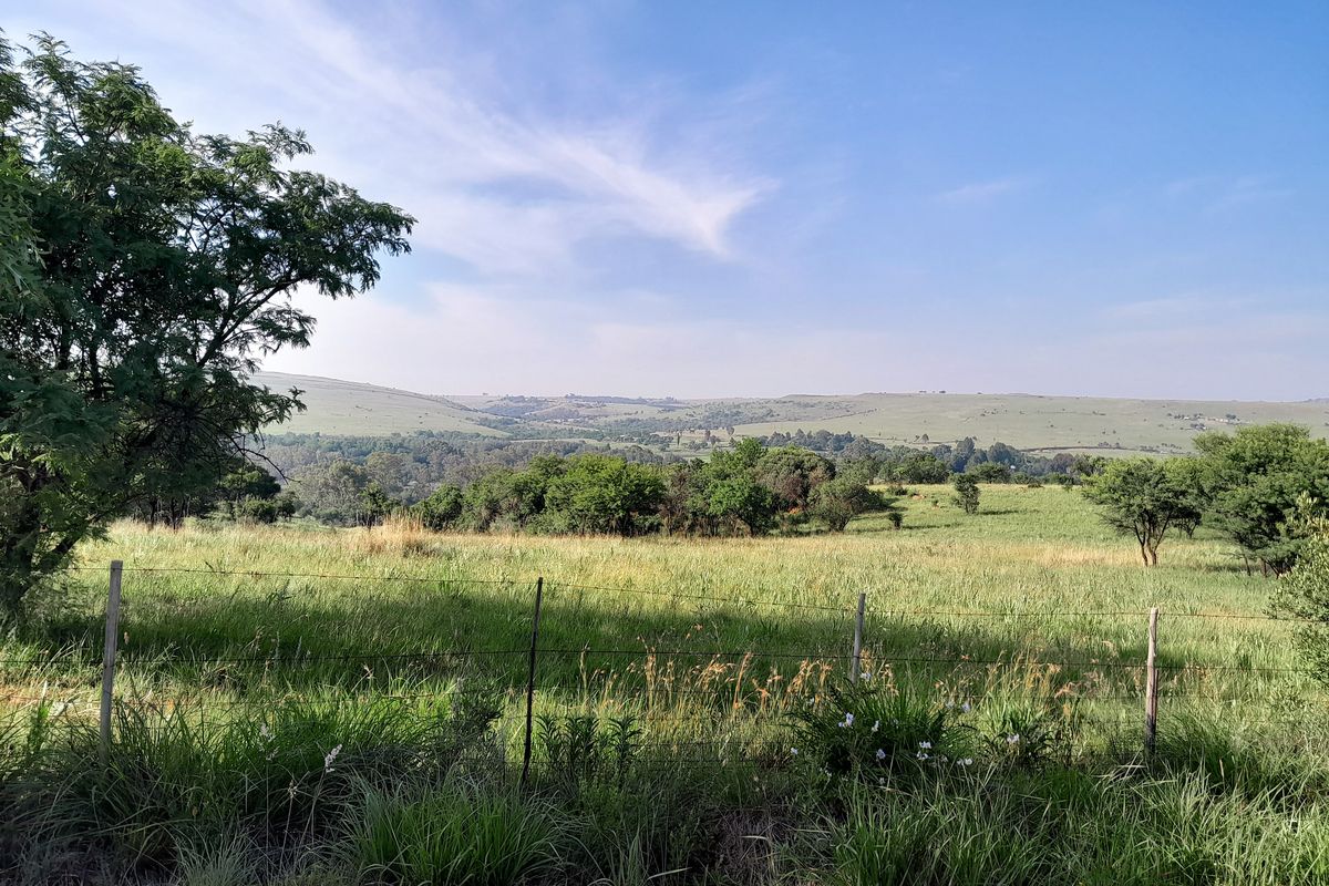 Unique pet friendly Guest Lodge with 360 degrees views - Photo 3