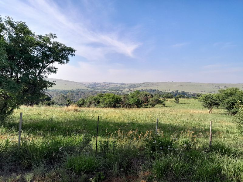 Unique pet friendly Guest Lodge with 360 degrees views - Photo 3