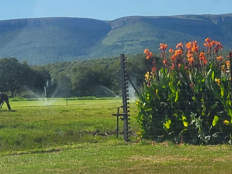 Versatile working farm at the foothills of the Magalies mountains - Photo 4