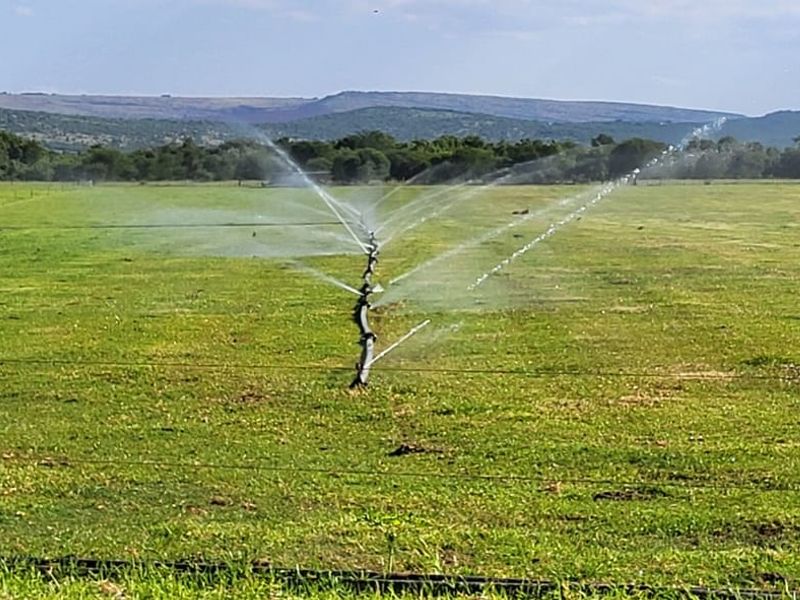 Versatile working farm at the foothills of the Magalies mountains - Photo 10