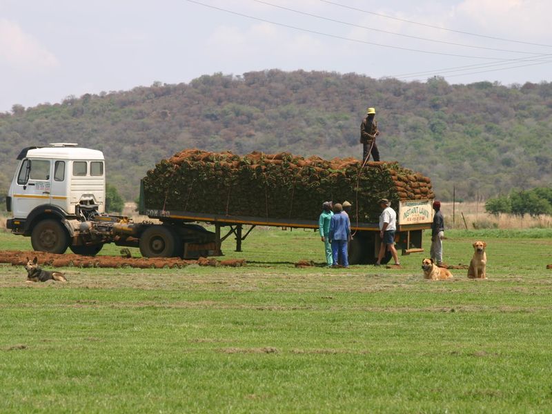 Versatile working farm at the foothills of the Magalies mountains - Photo 9
