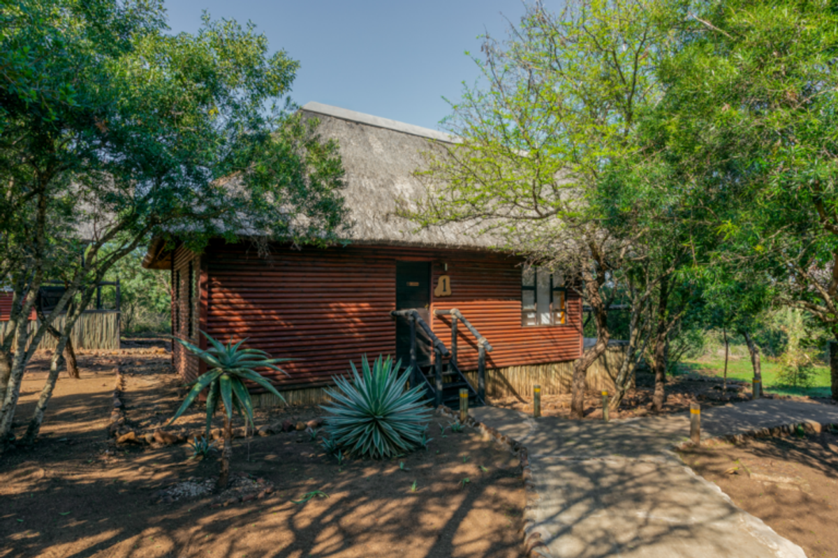 ESCAPE TO THE WILDERNESS AND LIVE LIKE ROYALTY IN THE ROYAL SWAZI PRIVATE GAME RESERVE IN eSWATINI - Photo 4