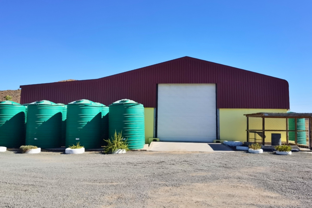 Farm For Sale In Ladismith - Photo 4