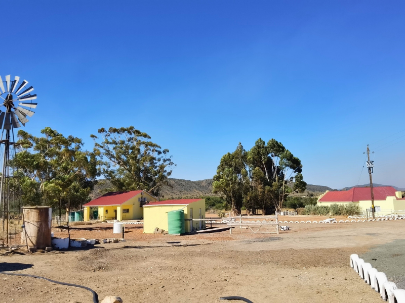 Farm For Sale In Ladismith - Photo 10