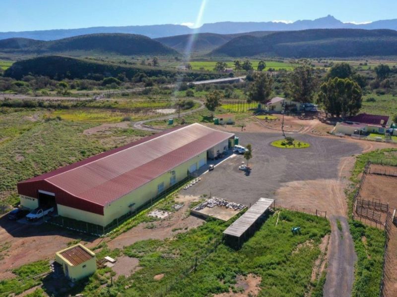 Farm For Sale In Ladismith - Photo 7