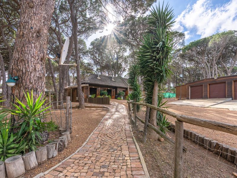 Nature Meets Opportunity–Swiss Timber Estate in Sir Lowry’s Pass with Proven Income & Scenic Luxury - Photo 2