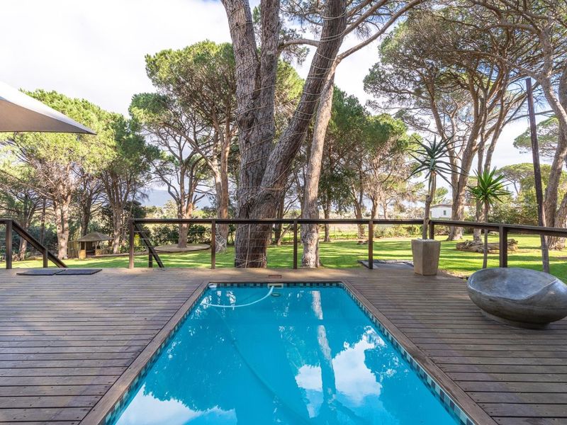 Nature Meets Opportunity–Swiss Timber Estate in Sir Lowry’s Pass with Proven Income & Scenic Luxury - Photo 9