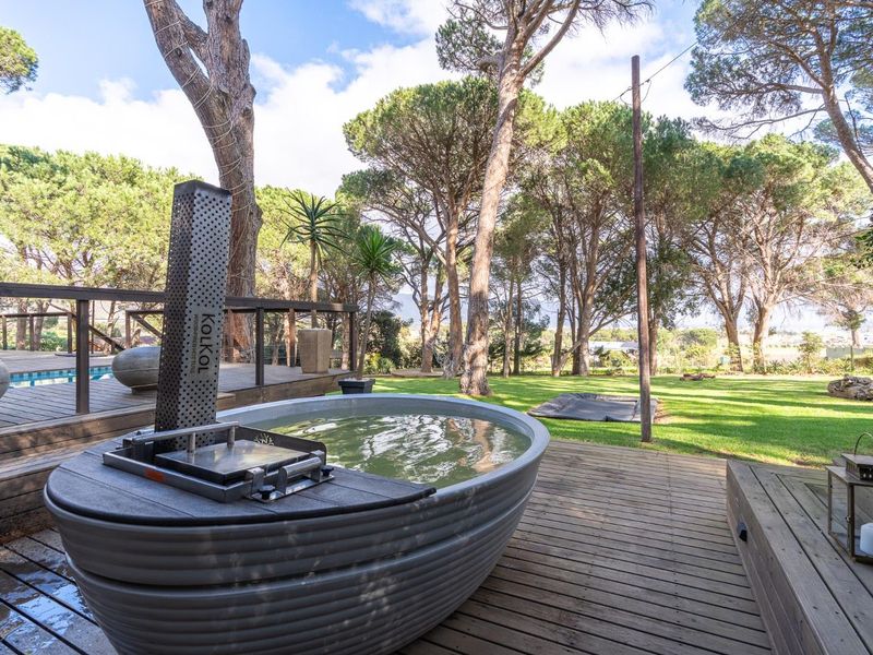 Nature Meets Opportunity–Swiss Timber Estate in Sir Lowry’s Pass with Proven Income & Scenic Luxury - Photo 6