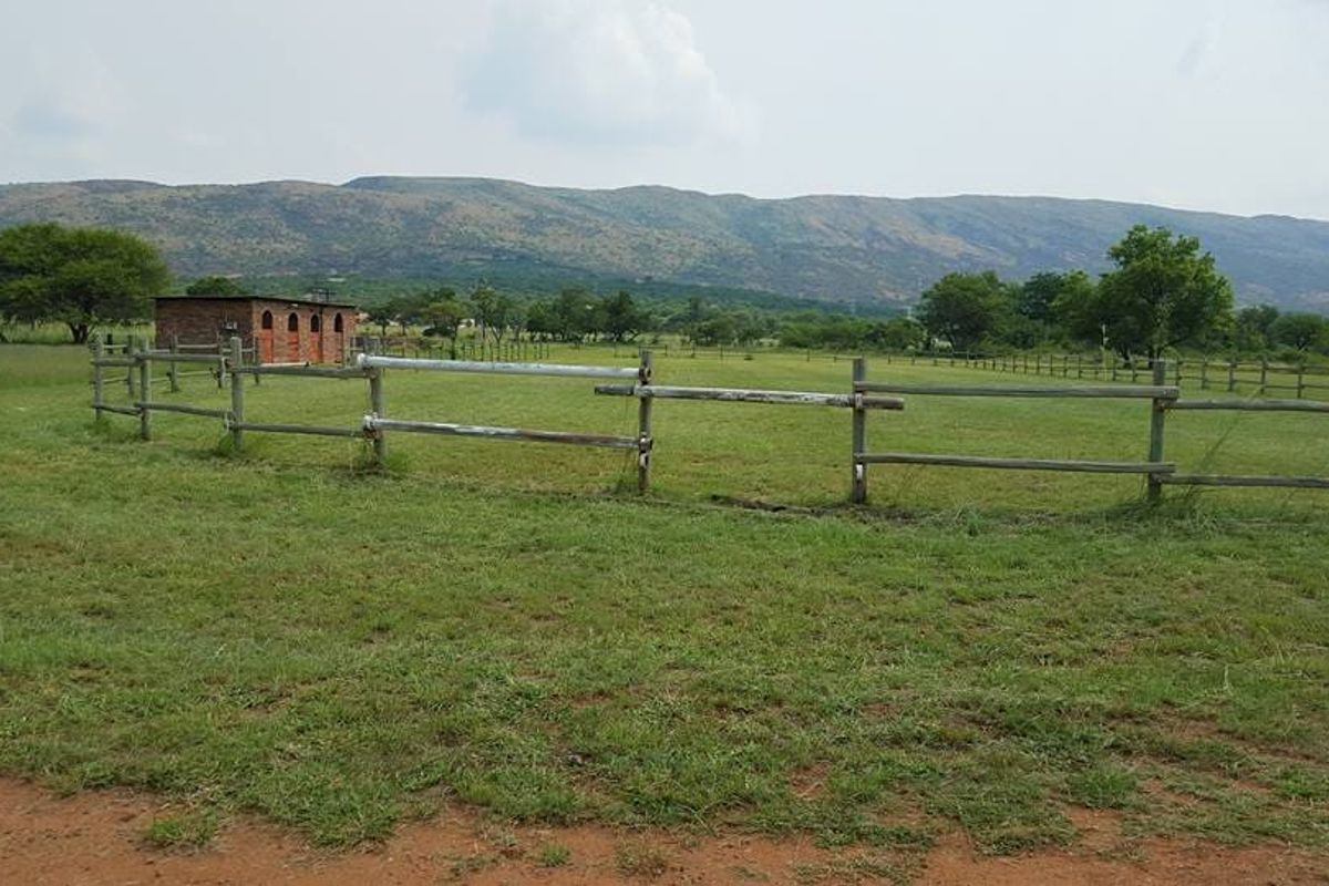 16ha Farm for Sale – Excellent Location with Endless Potential - Photo 3