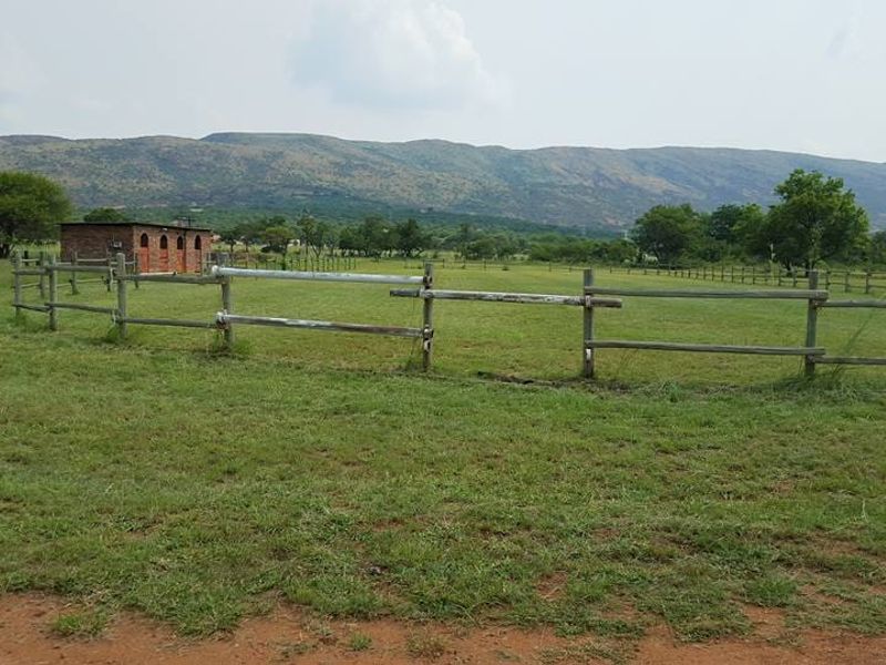 16ha Farm for Sale – Excellent Location with Endless Potential - Photo 3