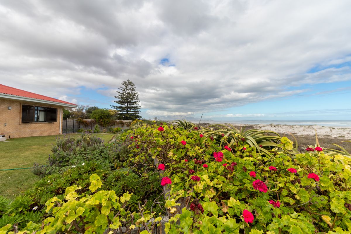 A well-maintained rear garden featuring established coastal landscaping, brick exterior wall, and direct views towards the beach and ocean.