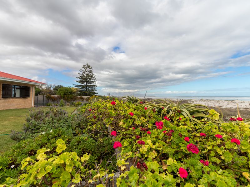 A well-maintained rear garden featuring established coastal landscaping, brick exterior wall, and direct views towards the beach and ocean.