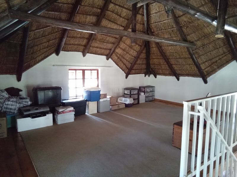 Lifestyle smallholding with great potential - Photo 8