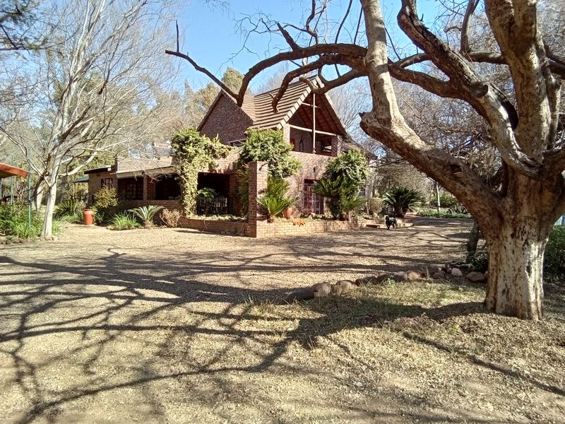 Lifestyle smallholding with great potential - Photo 2