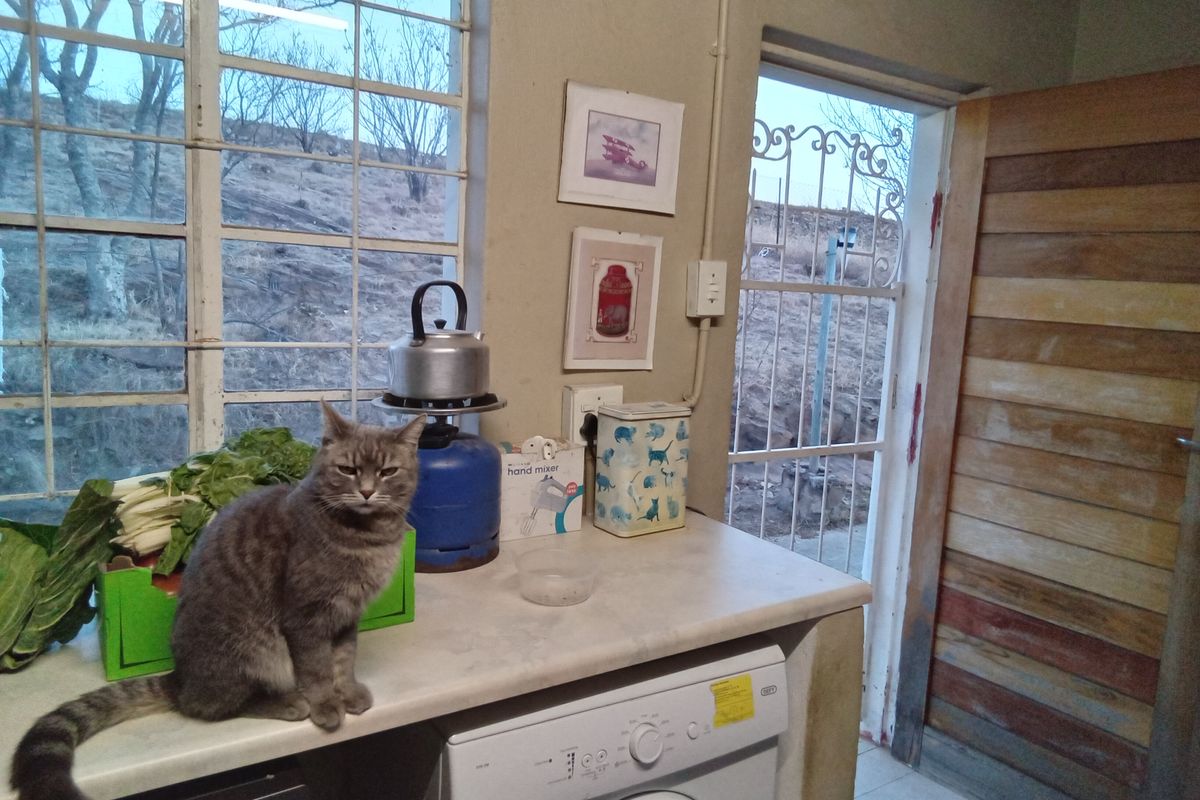 Family home with space - Photo 5