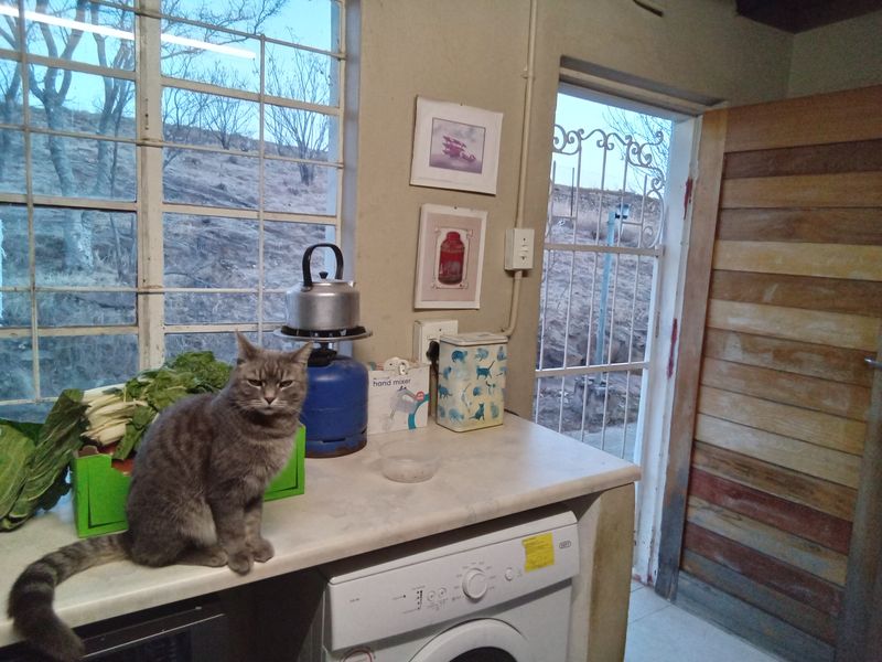 Family home with space - Photo 5