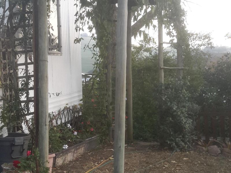 COSY HOME FOR SALE - Photo 5