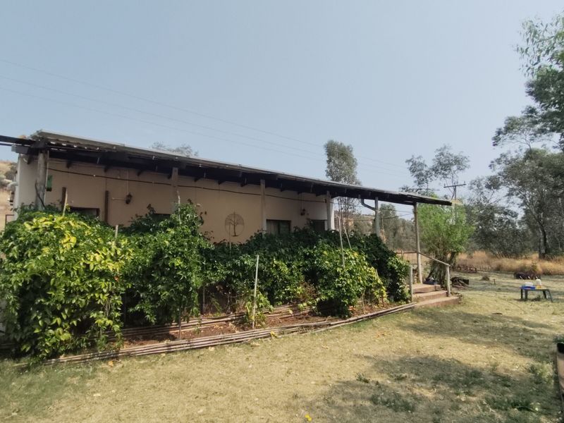 The canvas is yours - Photo 2