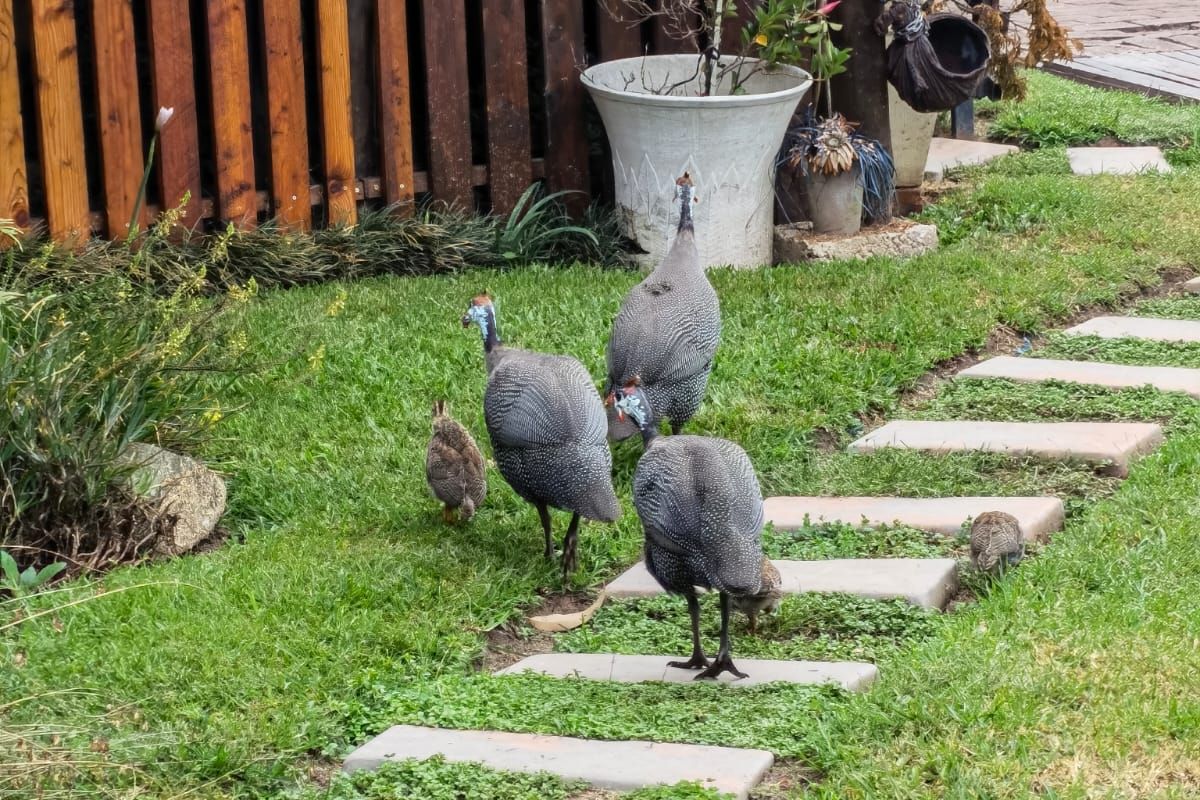 PRICE REDUCED - IMMACULATE UNIT FOR SALE - A REAL GEM - Photo 3