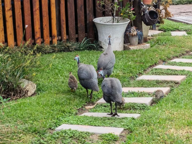 PRICE REDUCED - IMMACULATE UNIT FOR SALE - A REAL GEM - Photo 3