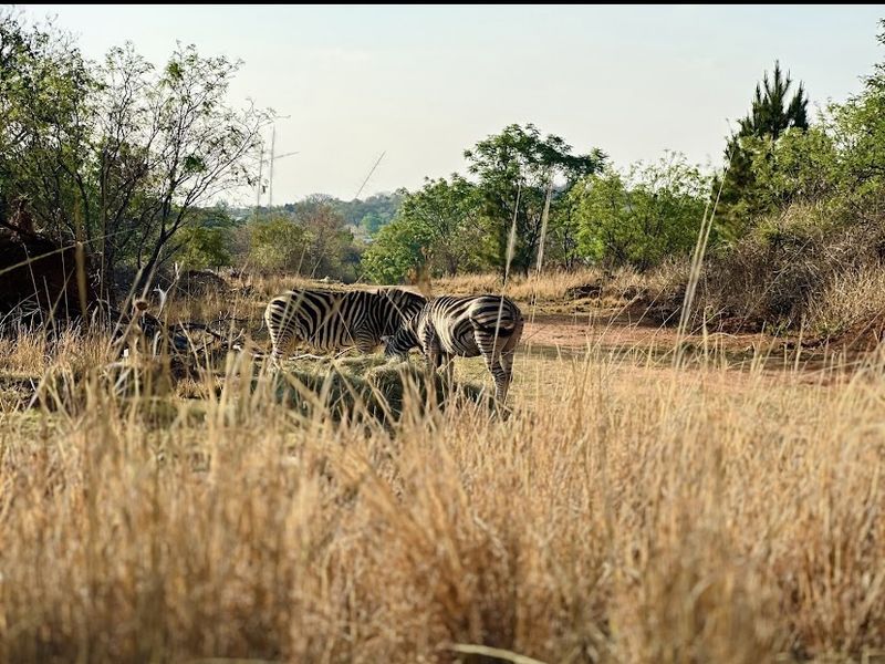 No Transfer duty! - Photo 8