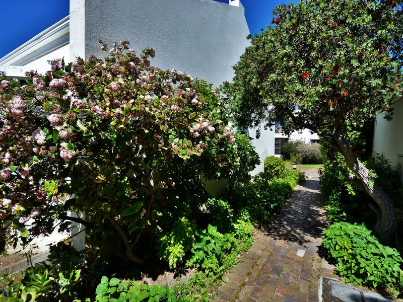 Retire in Style: Spacious 3-Bedroom Haven in Somerset West’s Premier Village - Photo 5