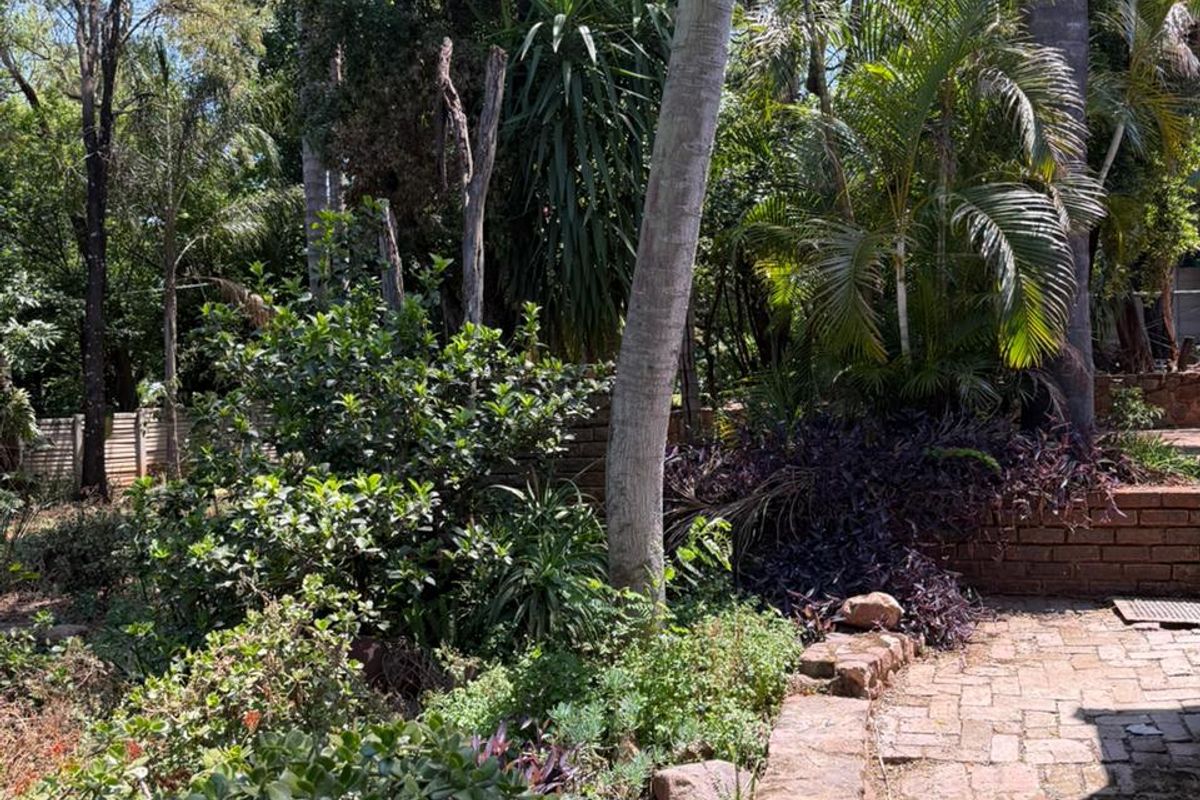 Versatile Home + Proven Guesthouse Income in Schoemansville, Hartbeespoort - Photo 3