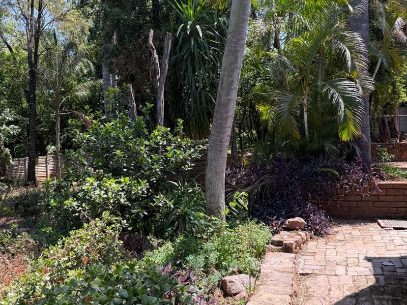 Versatile Home + Proven Guesthouse Income in Schoemansville, Hartbeespoort - Photo 3