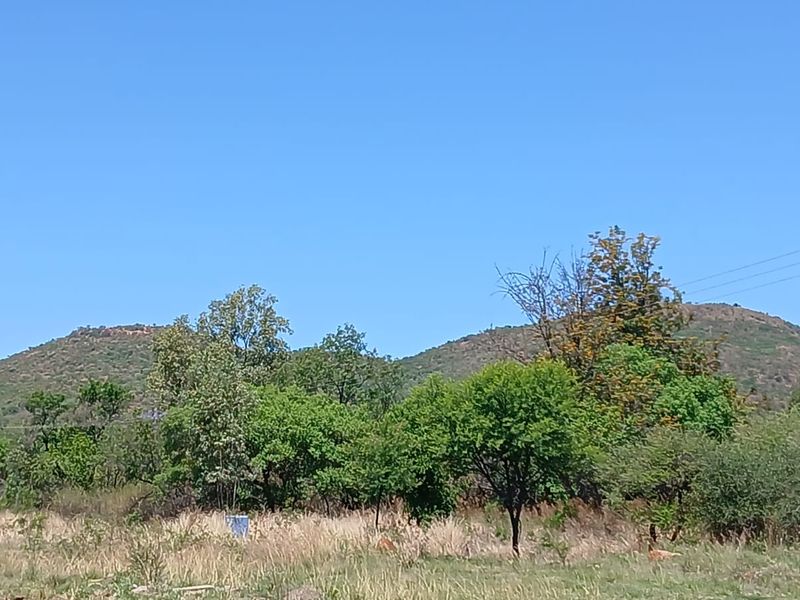 Prime 5.3-Hectare Farm Land for Sale – Buffelspoort | R104 Main Road Access - Photo 2