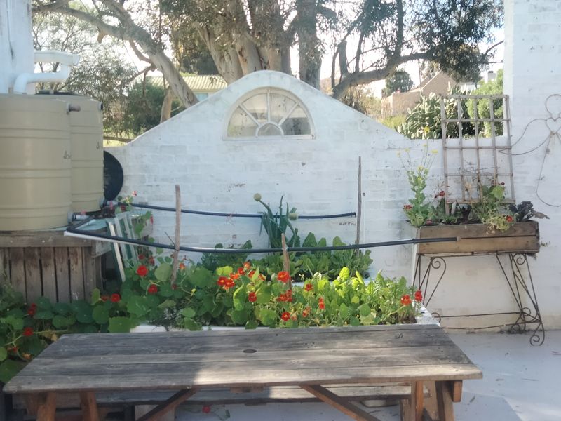 OFF THE GRID ENCHANTING FARM HOUSE, CONVERTED BARN & PERMACULTURE GARDEN FARM - Photo 9