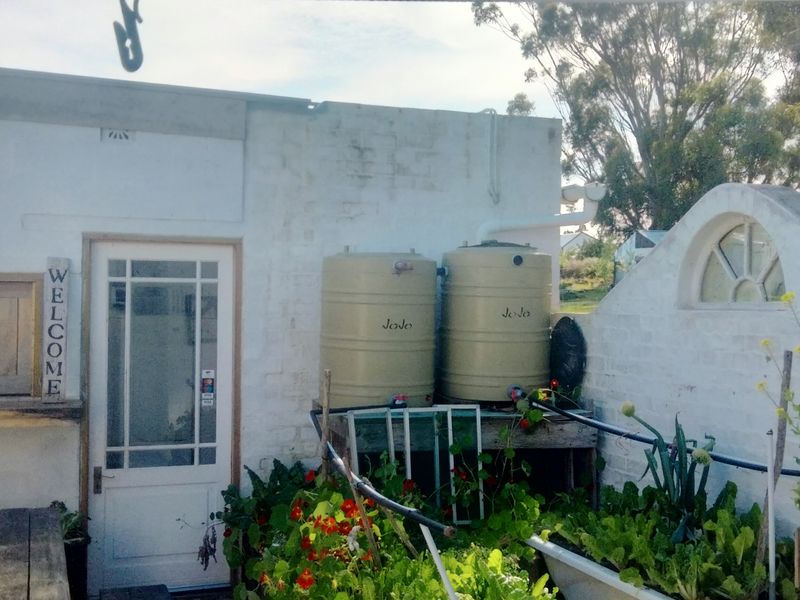 OFF THE GRID ENCHANTING FARM HOUSE, CONVERTED BARN & PERMACULTURE GARDEN FARM - Photo 8