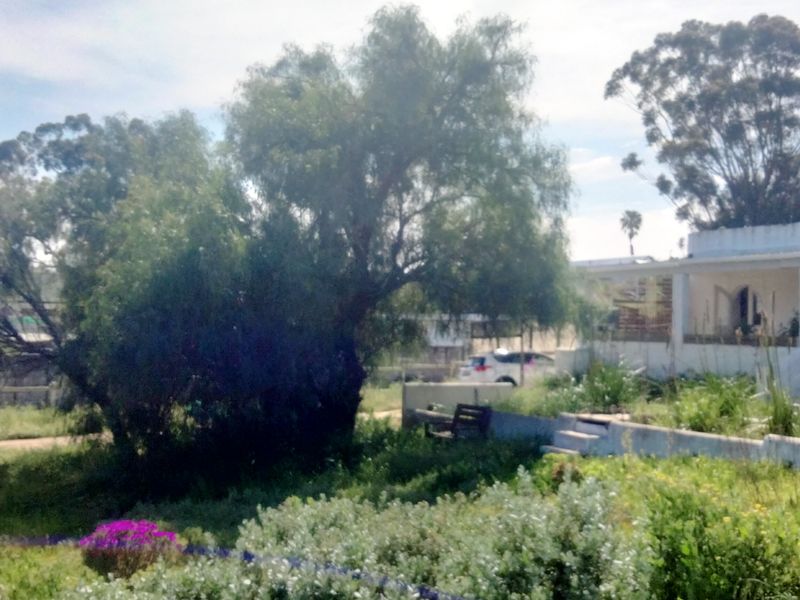 OFF THE GRID ENCHANTING FARM HOUSE, CONVERTED BARN & PERMACULTURE GARDEN FARM - Photo 6