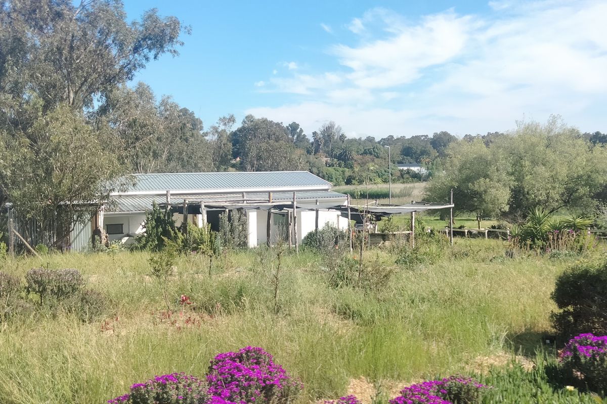 OFF THE GRID ENCHANTING FARM HOUSE, CONVERTED BARN & PERMACULTURE GARDEN FARM - Photo 2