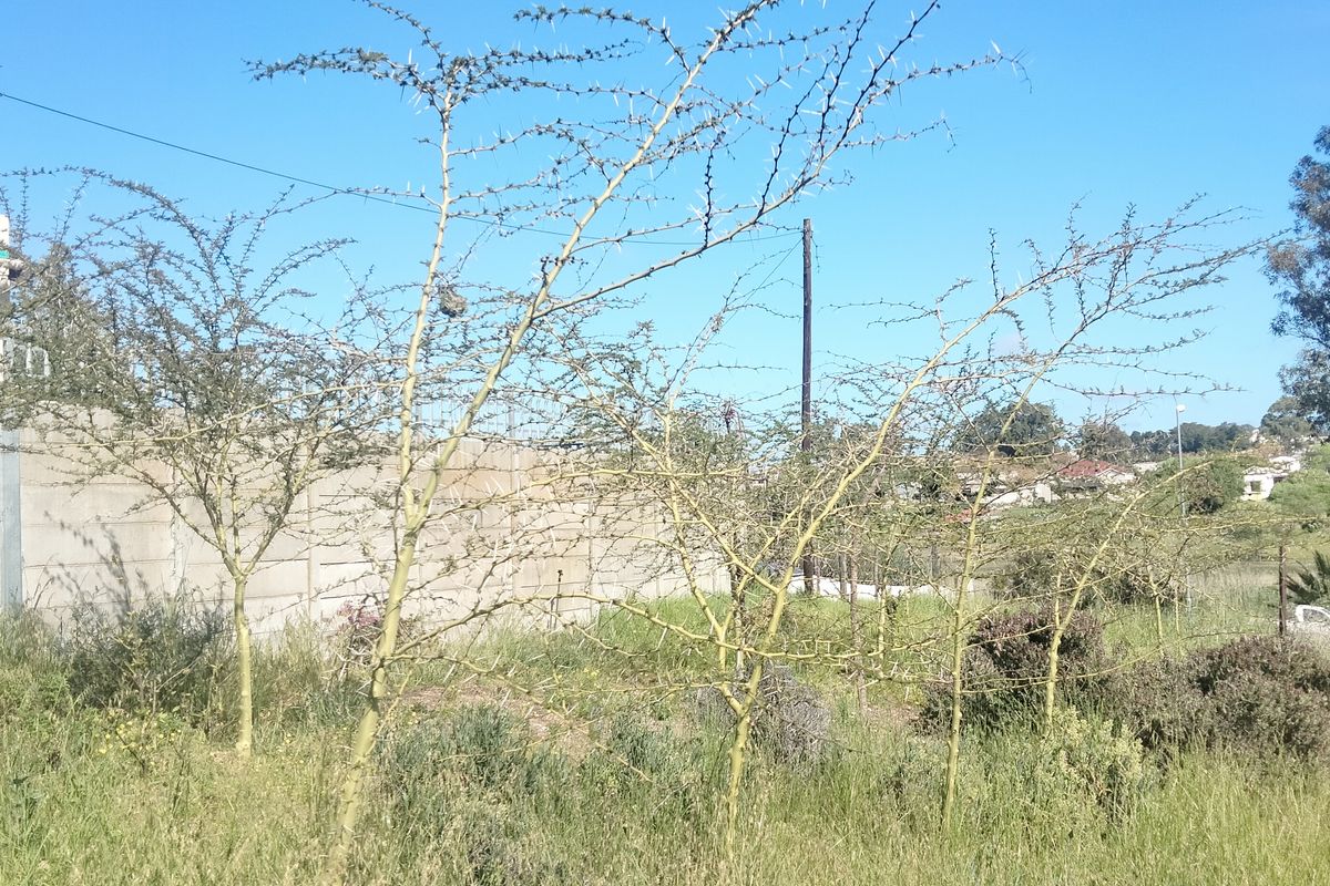 OFF THE GRID ENCHANTING FARM HOUSE, CONVERTED BARN & PERMACULTURE GARDEN FARM - Photo 5