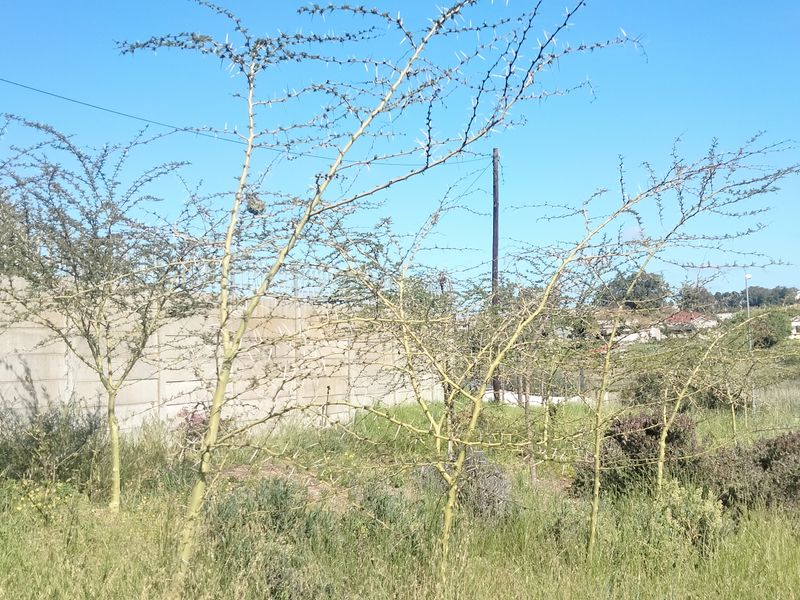 OFF THE GRID ENCHANTING FARM HOUSE, CONVERTED BARN & PERMACULTURE GARDEN FARM - Photo 5