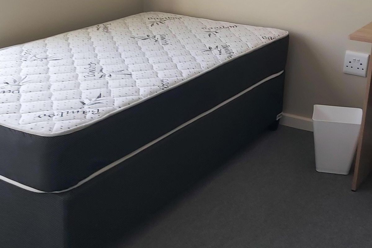 A simple bedroom space featuring neutral wall tones, carpeted flooring, and a functional electrical outlet.