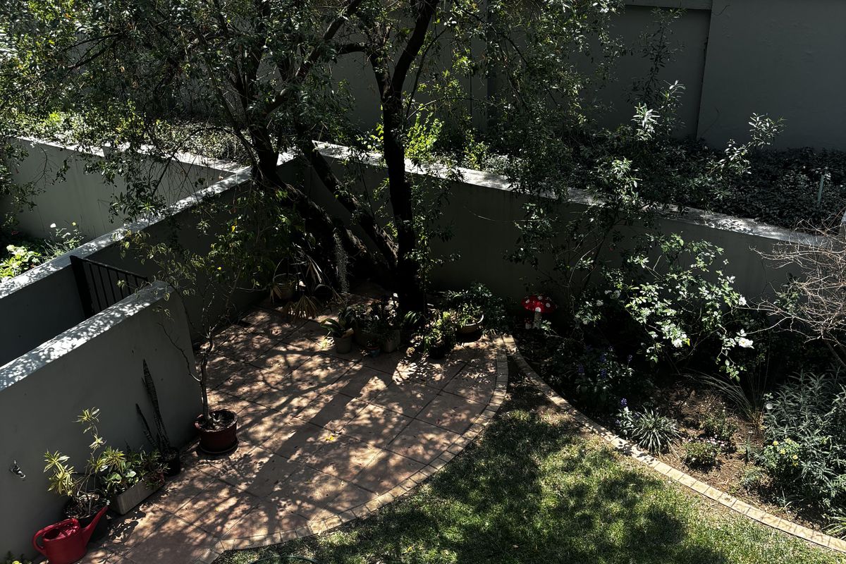 A private rear garden featuring a paved patio area, established trees, and a small lawn enclosed by perimeter boundary walls.