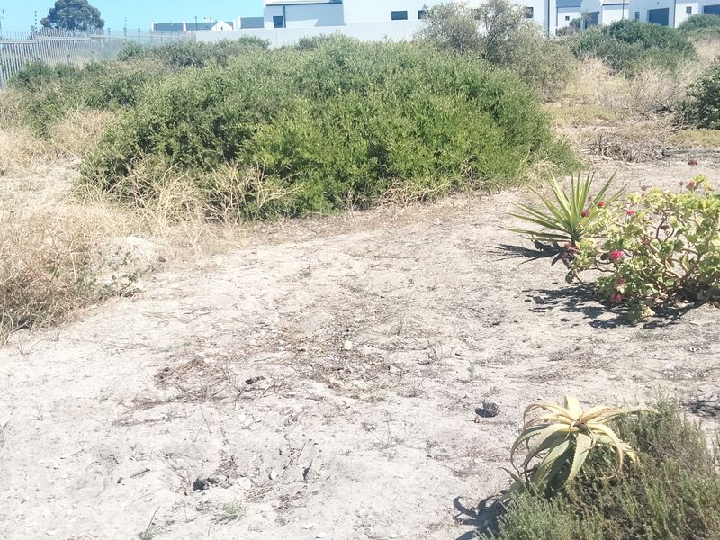 VACANT LAND SITUATED INSIDE A POPULAR GATED ESTATE JUST A SHORT STROLL TO THE BEACH - Photo 9