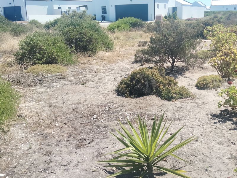 VACANT LAND SITUATED INSIDE A POPULAR GATED ESTATE JUST A SHORT STROLL TO THE BEACH - Photo 7