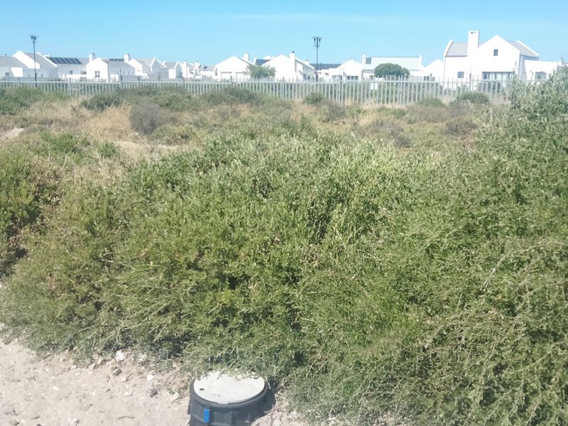 VACANT LAND SITUATED INSIDE A POPULAR GATED ESTATE JUST A SHORT STROLL TO THE BEACH - Photo 4