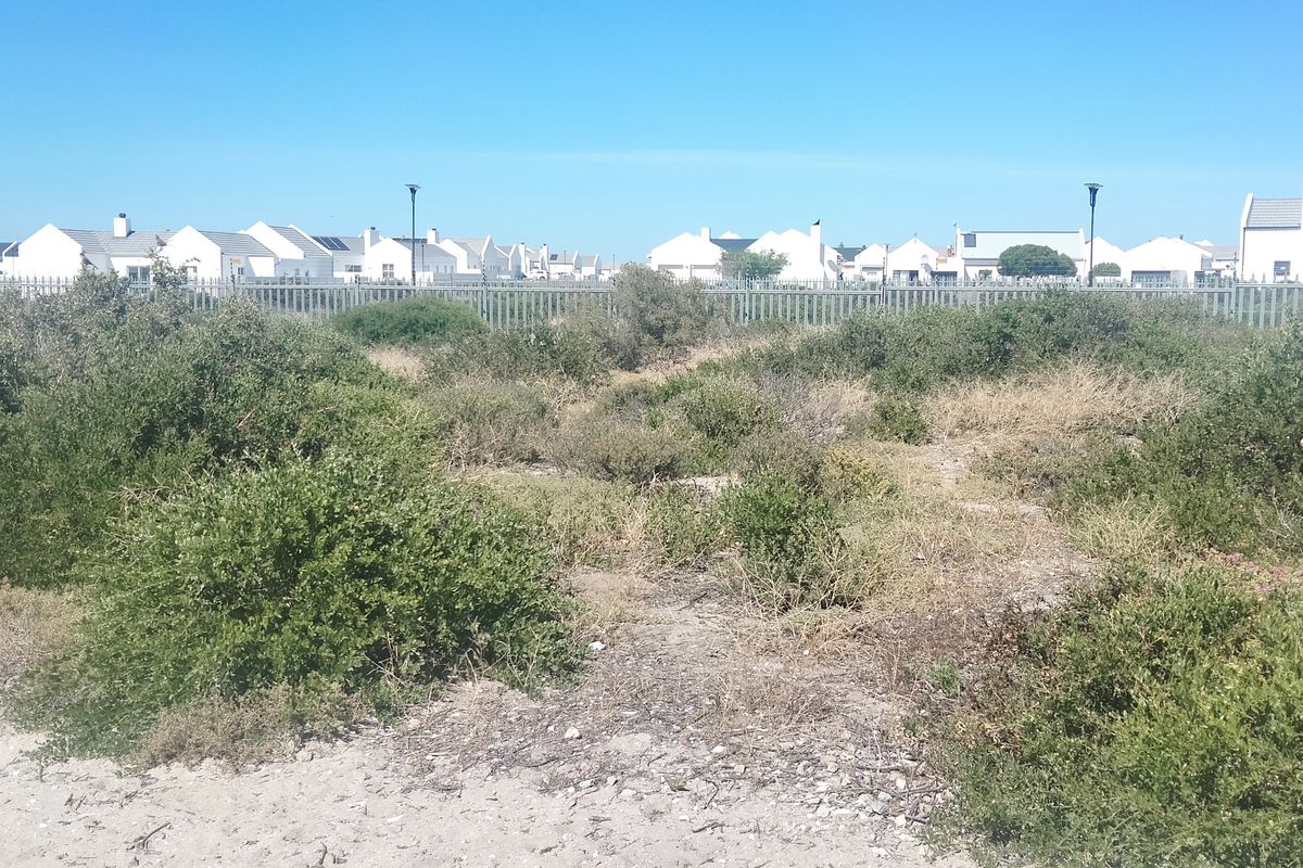 VACANT LAND SITUATED INSIDE A POPULAR GATED ESTATE JUST A SHORT STROLL TO THE BEACH - Photo 5