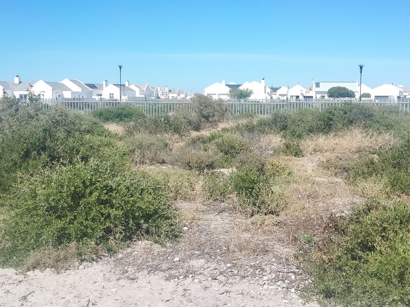 VACANT LAND SITUATED INSIDE A POPULAR GATED ESTATE JUST A SHORT STROLL TO THE BEACH - Photo 5