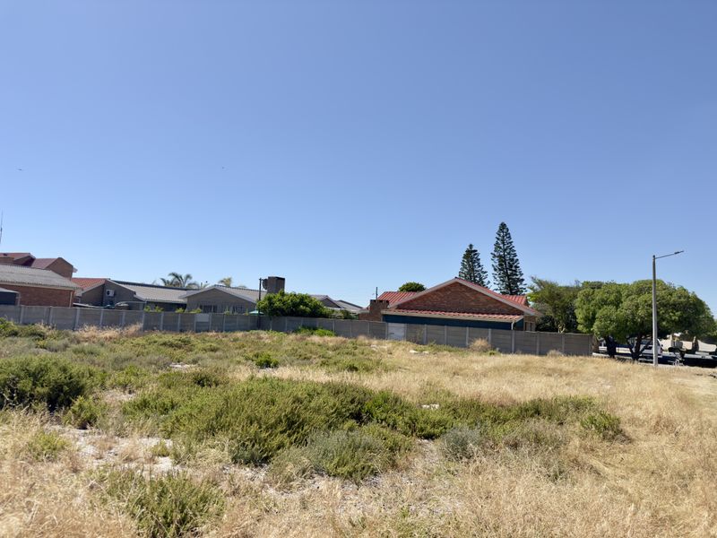 Build Your Coastal Dream on a Rare Corner Plot in Dwarskersbos! - Photo 2