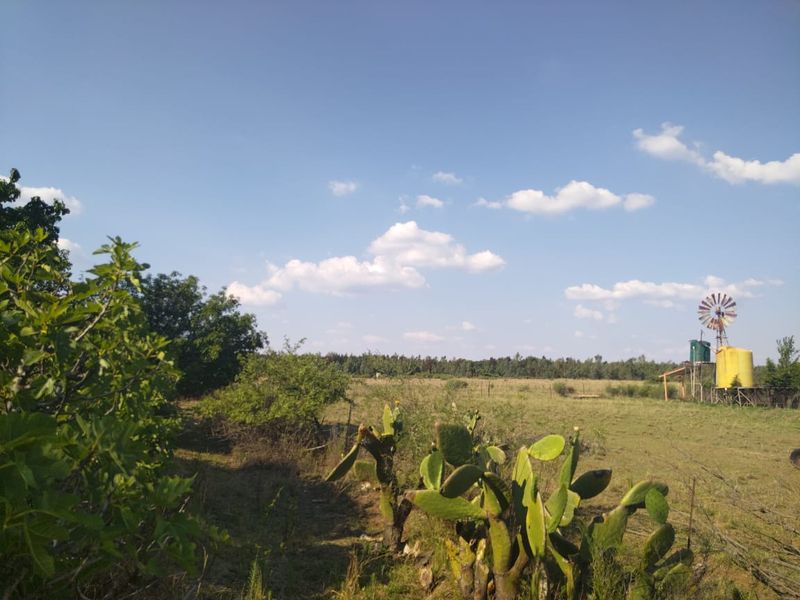 Rustic 3.7ha Lifestyle Opportunity in Boons vicinity - Photo 2