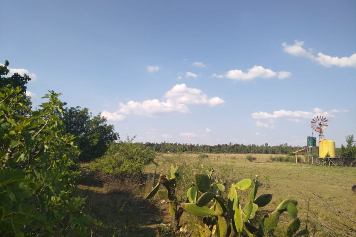 Rustic 3.7ha Lifestyle Opportunity in Boons vicinity - Photo 2