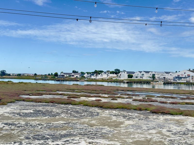 569 m2 Vacant Land for Sale in Port Owen – Prime Location Near the Berg River and Marina - Photo 10