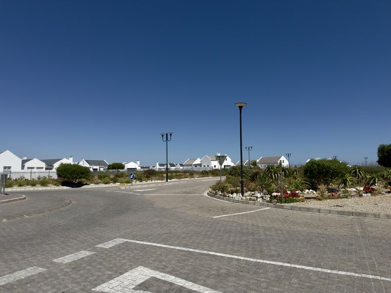 A view of the paved street and landscaped verge within a residential estate, featuring modern street lighting and surrounding coastal-style homes.